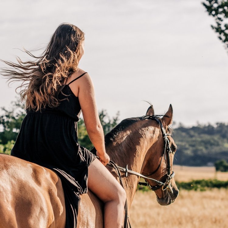 Where to Go Horseback Riding in America: 10 Epic Trail Destinations