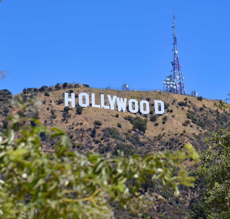 Los Angeles Family Vacation Guide: 4–7 Day Itinerary with Top Things to Do