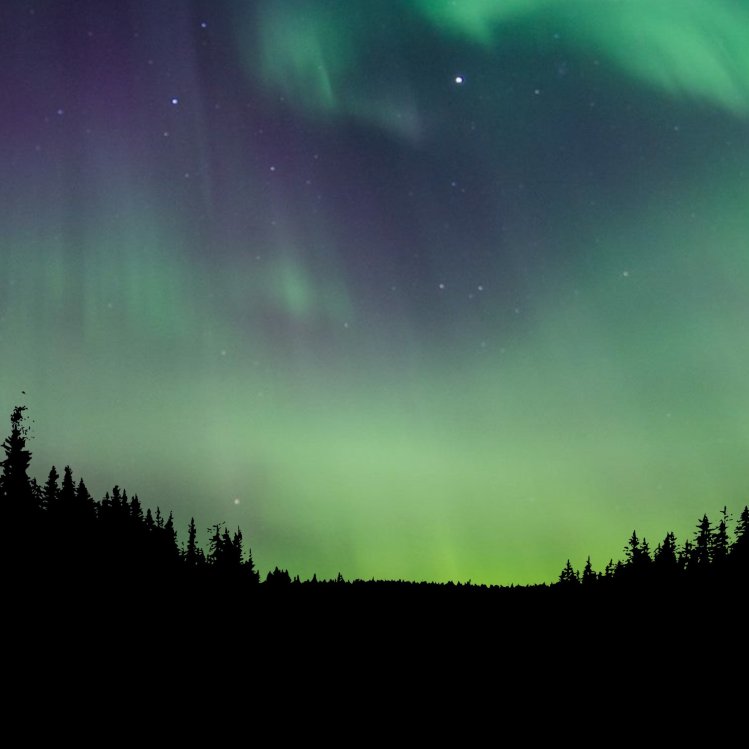 Aurora Magic: Top Spots in America for Northern Lights Viewing