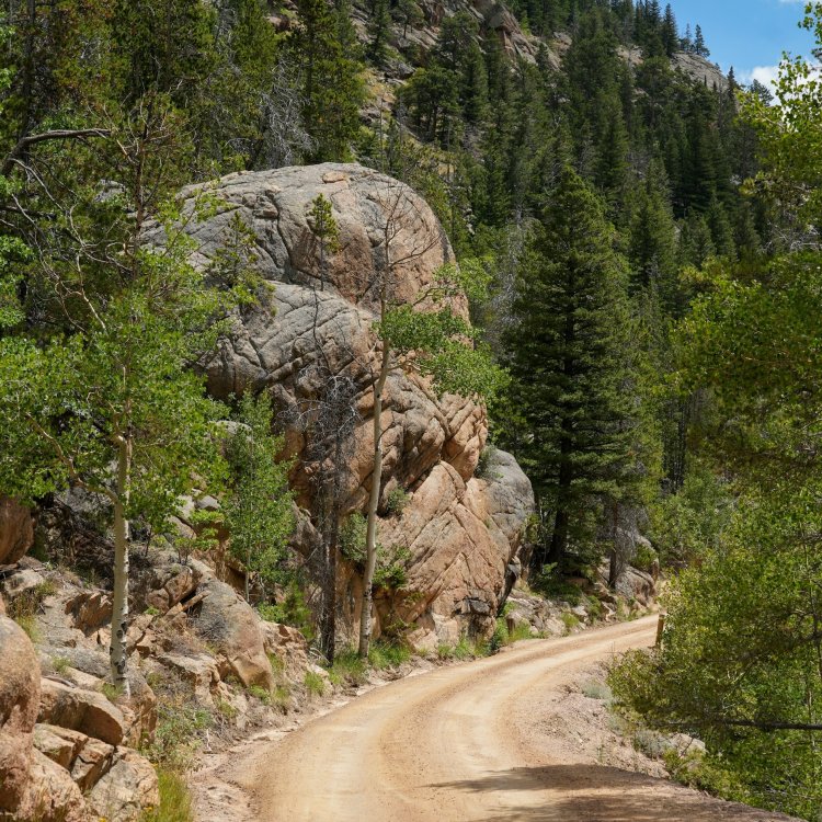 America’s Best National Forests for Outdoor Camping and Scenic Trails