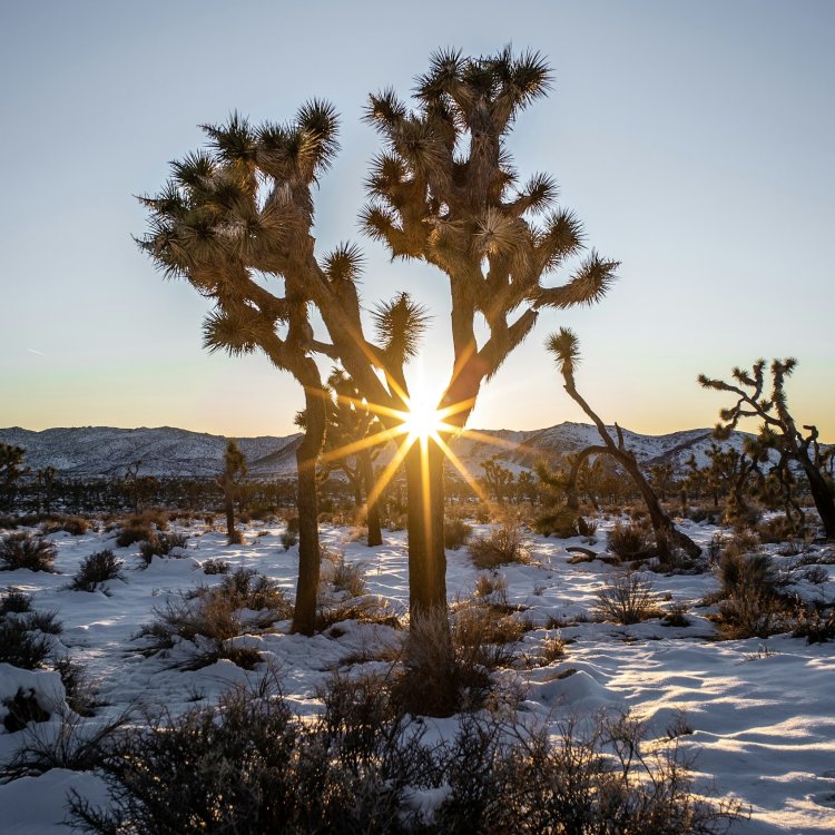 Top Photo-Worthy Desert Destinations in the American Southwest