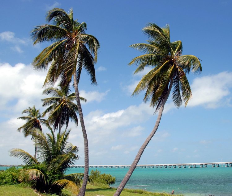 Florida Keys Road Trip Itinerary: Miami to Key West