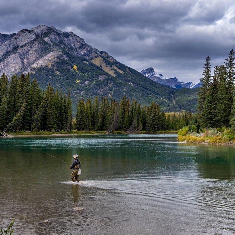Best National Parks for Families