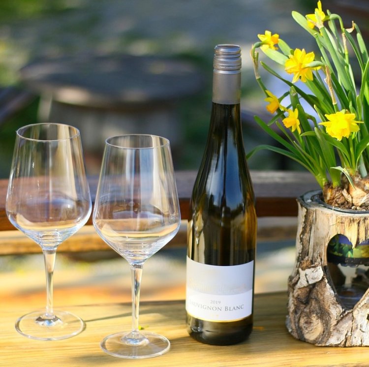 Exploring Wine Country in America: Where to Sip, Savor, and Stay
