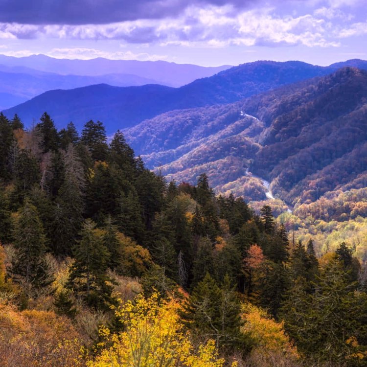 Exploring the Appalachian Mountains: Best Destinations, Trails & Towns
