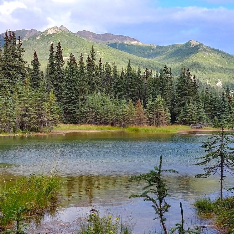 One Week in Alaska: Adventure Itinerary for Outdoor Lovers