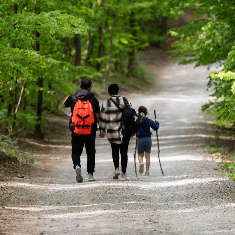 Best Tips for Safe Hiking With Kids: A Parent’s Guide to Fun on the Trails