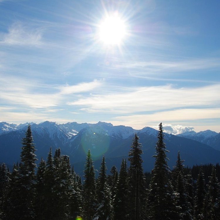 One Week in the Pacific Northwest: The Ultimate Road Trip Itinerary