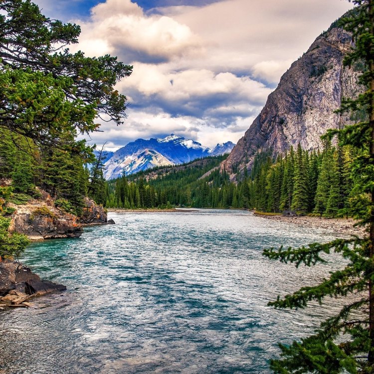 7-Day Montana Road Trip Guide: From Yellowstone to Big Sky Country